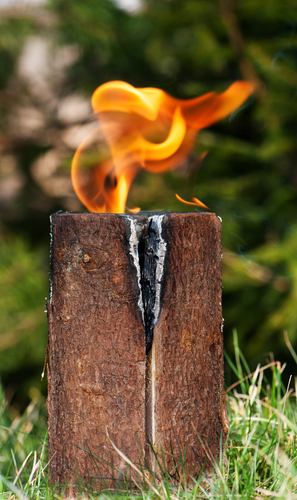 "Swedish torch" or simply burning stub on a glade for rest or to cook food